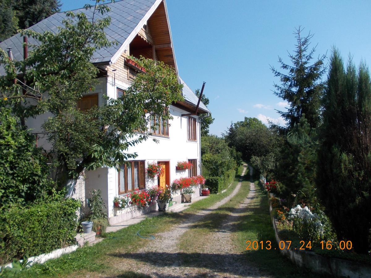 Pensiunea Paradis Borobanesti Exterior photo