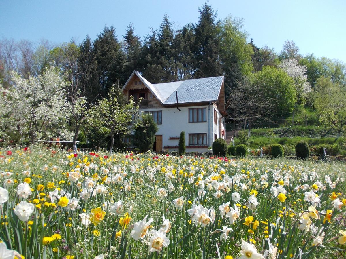 Pensiunea Paradis Borobanesti Exterior photo