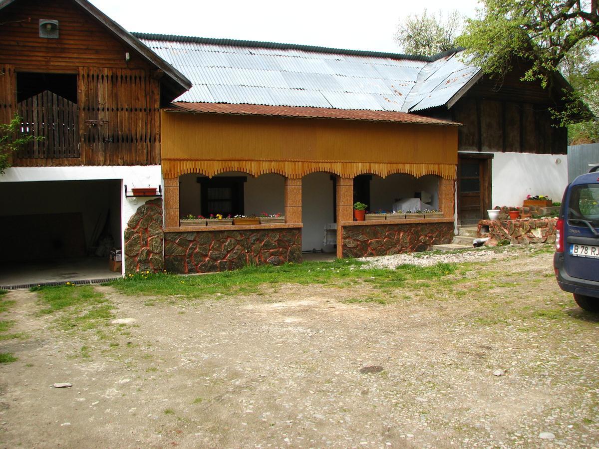 Pensiunea Paradis Borobanesti Exterior photo