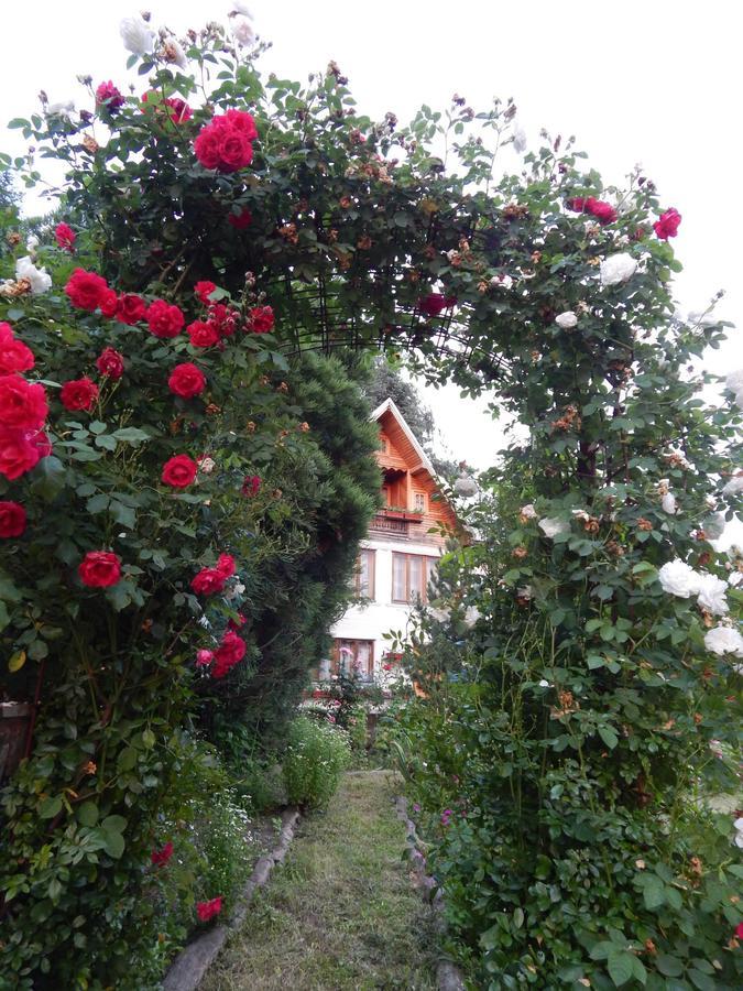 Pensiunea Paradis Borobanesti Exterior photo