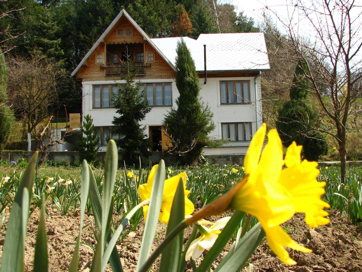 Pensiunea Paradis Borobanesti Exterior photo