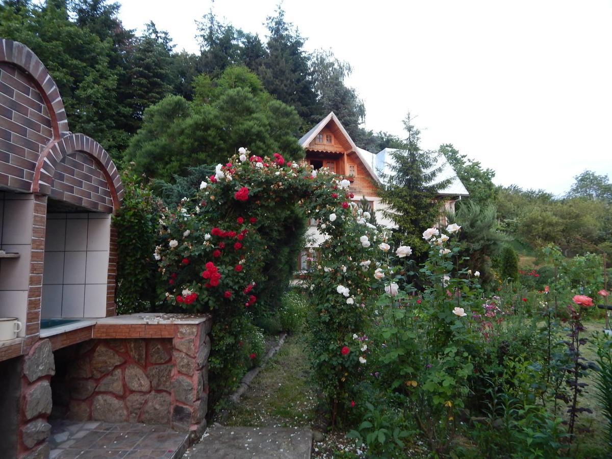 Pensiunea Paradis Borobanesti Exterior photo